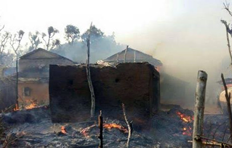 Eleven houses, sheds destroyed in Sandhikharka fire, youth injured while fighting flames dies