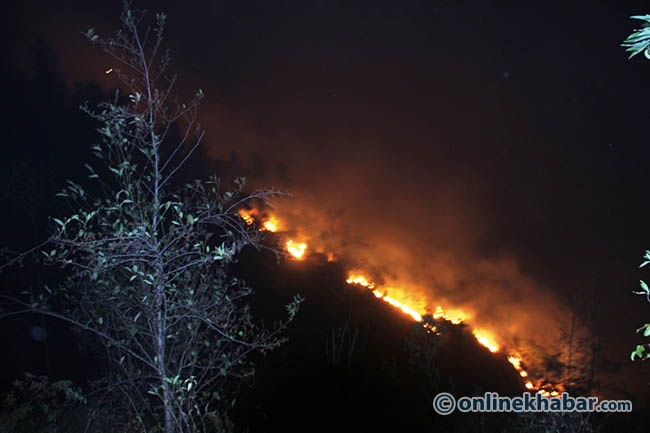 As wildfires rage in Nepal, Department of Forests finds it is too ill-equipped to fight them