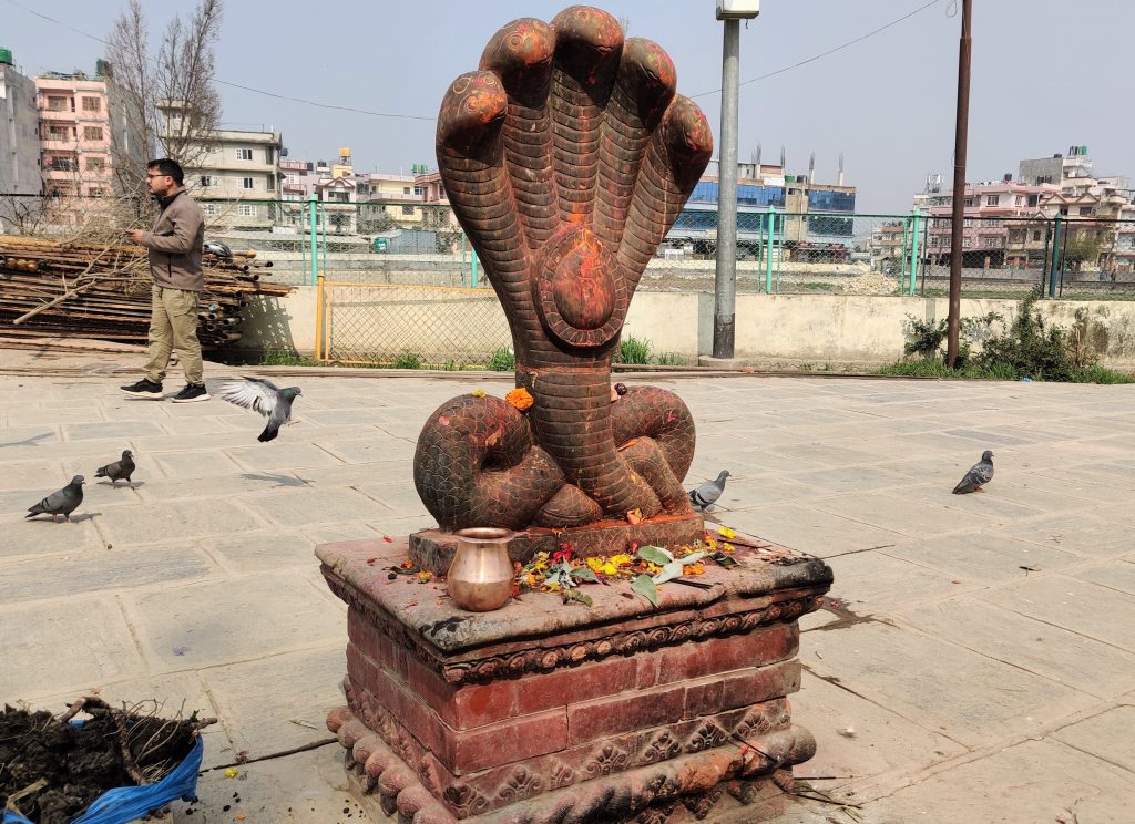 A sculpture made in honour of the serpent king in Boje Pokhari's premises. It is said to have resided in the pond. Photo: Nasana Bajracharya