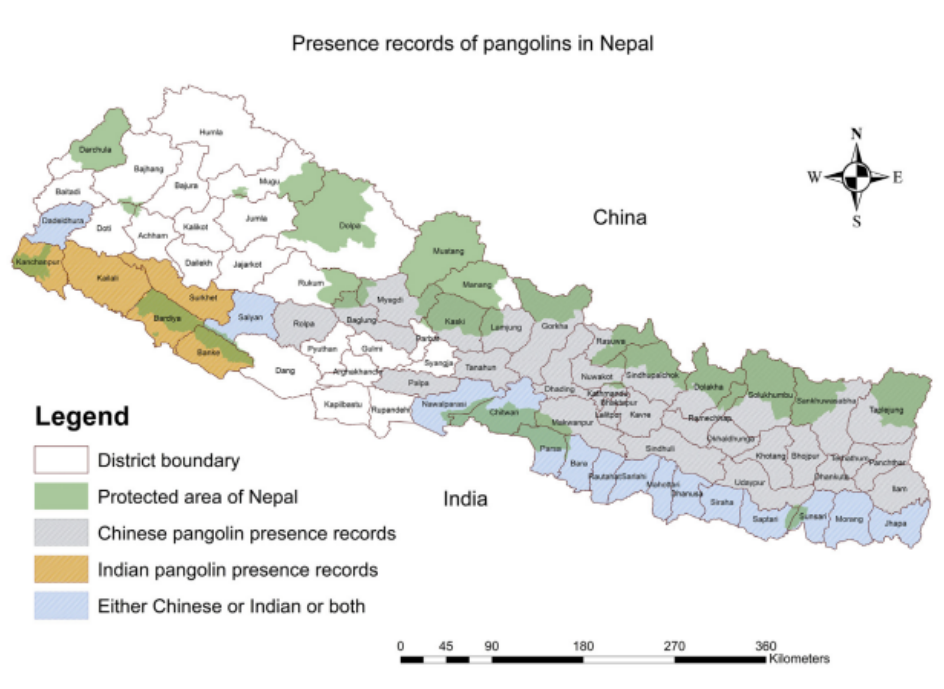 Presence records of Chinese and Indian pangolins in Nepal. Data Source: Department of Survey, Department of
National Parks and Wildlife Conservation, National Trust for Nature Conservation, Government of Nepal. pangolin conservation