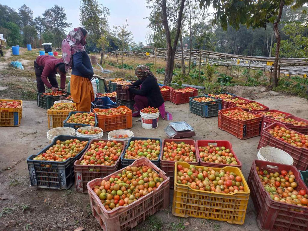 The students trained under the Earning while Studying programme are getting various opportunities outside the school too. 