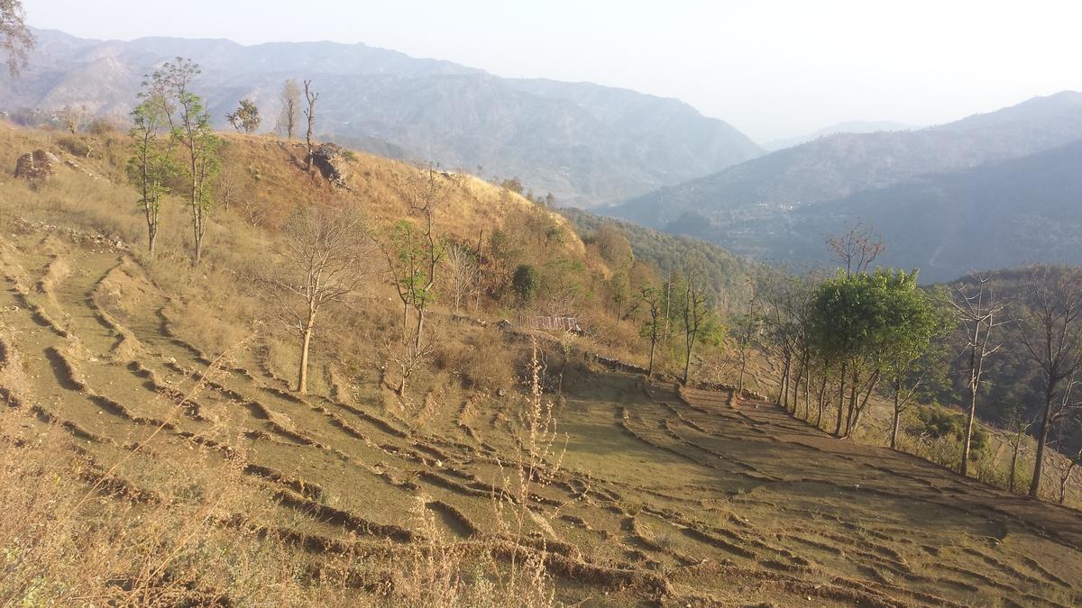 Climate change-induced migration and Abandoned house and field in Chiti in Lamjung. Photo: Amina Maharjan