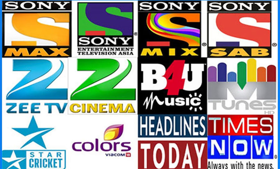 Indian TV channel - a la carte pricing system