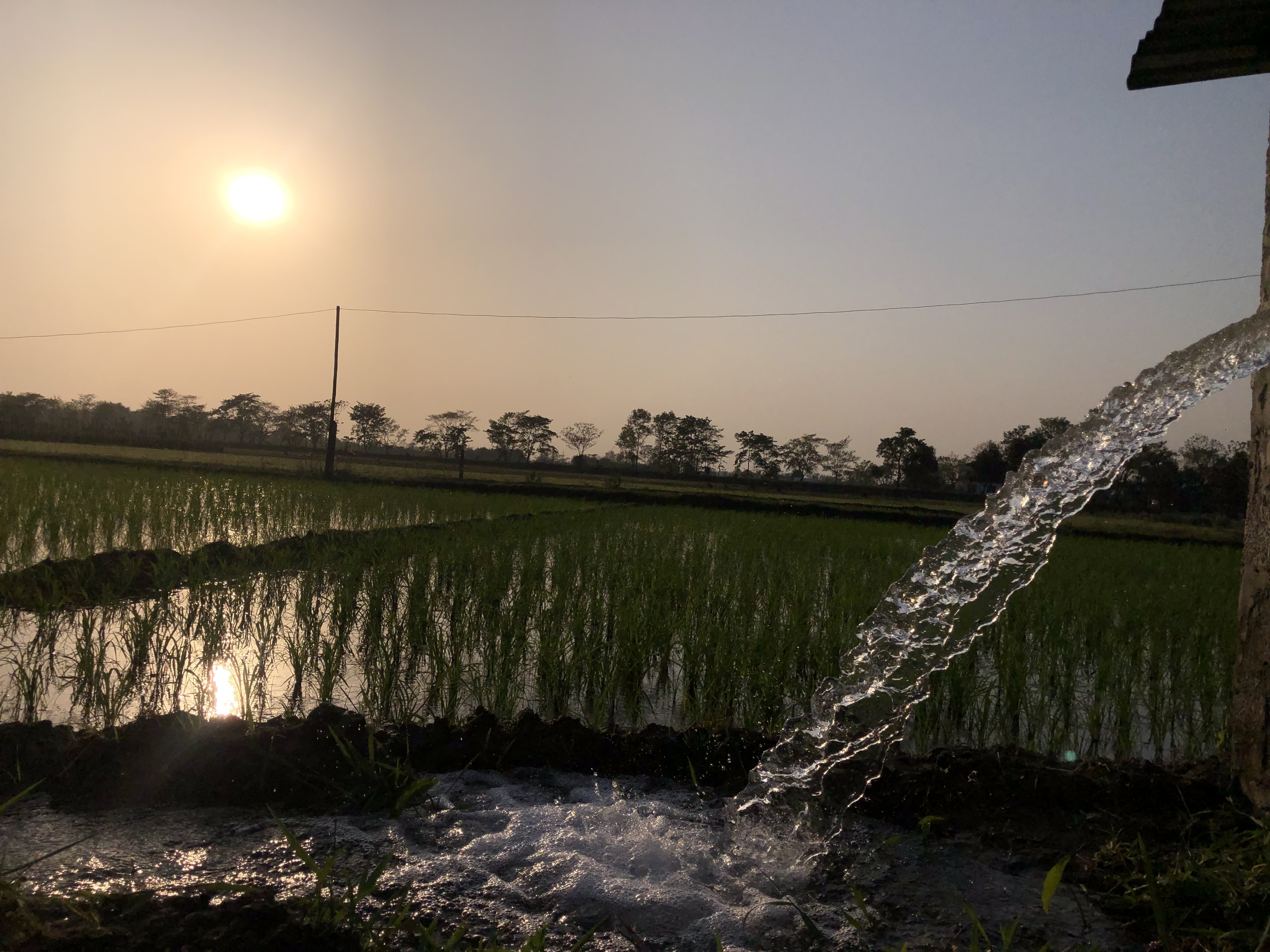 As in Meghauli, Chitwan, most of the farmers in Nepal’s southern belt use deep-well pumps to irrigate crops.