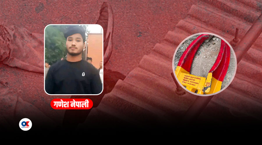 Ganesh Nepali, who attempted self-immolation, dies during treatment — police