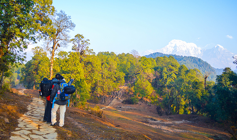 Heaven on Earth: Ghorepani-Poon Hill Trek