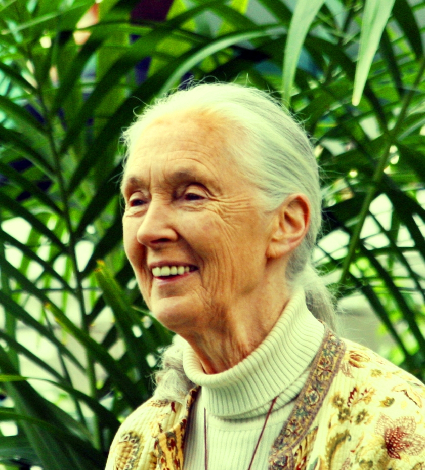 Jane_Goodall_GM