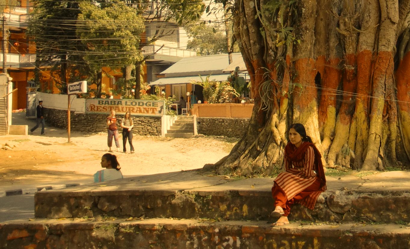 Treeshade_Pokhara_2012