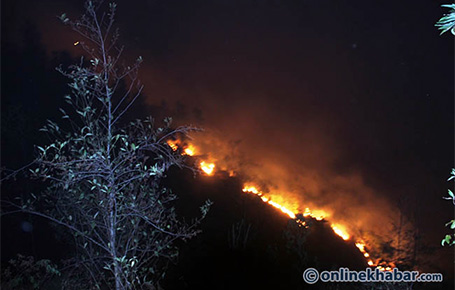 Wildfires raging on in Kanchanpur district, 10,000 hectares of forestland in peril