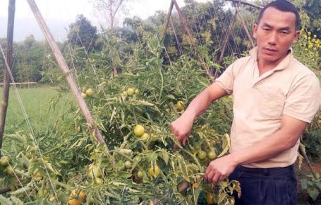 Rainfall, hailstone wreak havoc in Taplejung, Chitwan, causing farm losses worth crores of rupees