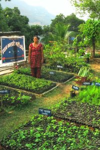 For this woman entrepreneur in Nepal’s Ramechhap, money grows on herbs