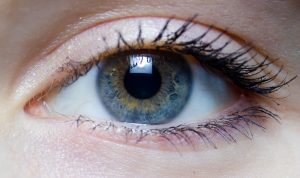 World Sight Day observed today