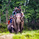 Rising arrivals demand a national tourism dashboard