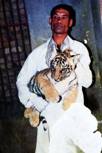 Kathmandu’s Leopard Catcher: His ‘children’ attack him, but he still loves them