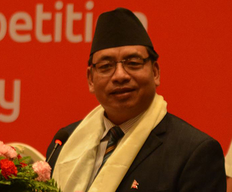 Make creation of a prosperous Nepal your common agenda: Vice-president Pun to parties