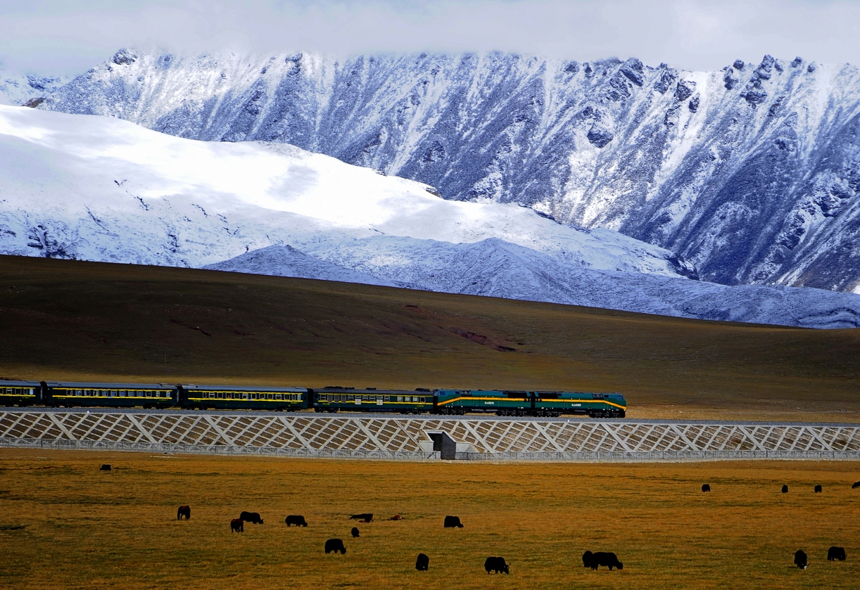 Tibet-Nepal railway economically, technically feasible, say Chinese experts