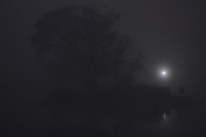 Taudaha: A foggy view of wetland not so far from urban jungle