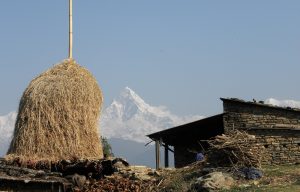 Begnas to Thulakot: Close to mountains, just far enough from everything