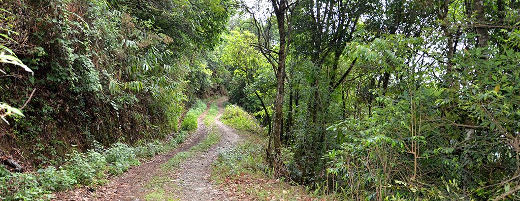 one day travel destinations Shivapuri National Park