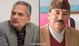 Poll partnership: RPP, Naya Shakti to support each other’s chairman