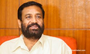 UML stands to lose a lot if RJP contests elections: Nidhi