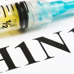 African swine flu kills 46 pigs in Parbat