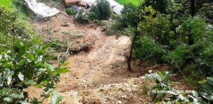 Three of a family perish in Surkhet landslide