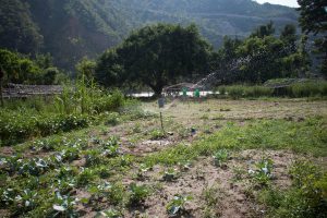 Solar power, sprinkle irrigation enrich vulnerable Nepali village