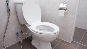 NRNA proposes ‘international-standard’ public toilets in Kathmandu