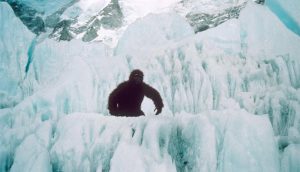 Here’s what scientists found after studying ‘DNA samples from yetis’