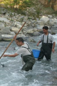 Fishing for a cause in Roshi: How we saw a river depleted, degraded and violated
