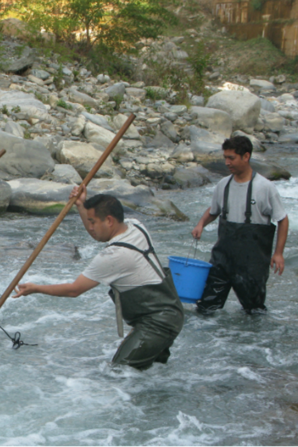 Fishing for a cause in Roshi: How we saw a river depleted, degraded and ...