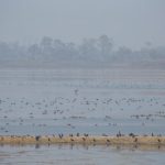 As Nepal celebrates Wetlands Day, here are a few things to know about wetlands in Nepal