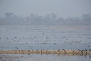 Why is the conservation of wetlands crucial in Nepal?