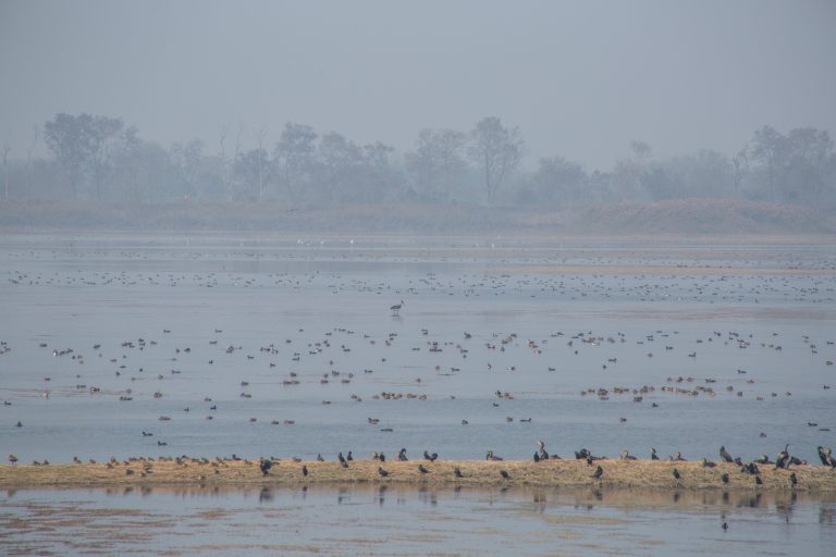 File: Jagadishpur lake/reservoir