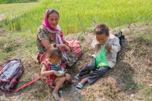 Food security in Nepal: Commercialisation is need of the hour, but not organic farming