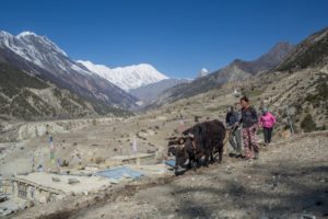 Nepal’s Himalayas – a changing landscape in photos