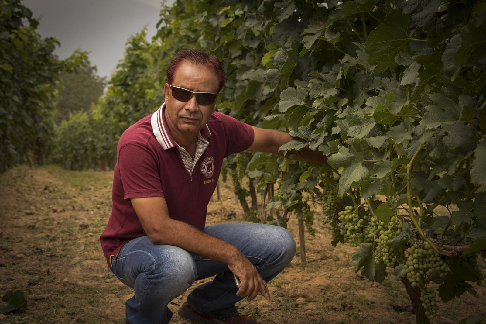 Pataleban vineyard resort: The story of Nepal's pioneering vineyard ...
