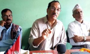 Parliamentary Hearing Special Committee is helpless shadow of biggies: Kamal Thapa