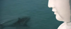 The Meg Movie Review: Jason Statham takes on a prehistoric shark