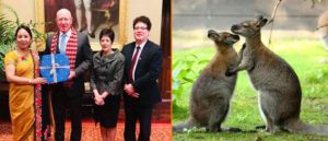 Australia takes initiatives to gift Nepal a pair of kangaroos