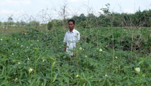 Dakor Bason: Traditional agriculture wisdom is still relevant in India’s Assam