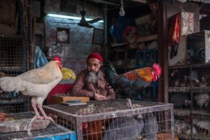 The myth of a vegetarian India