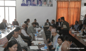 Nepali Congress discusses party statute amendment