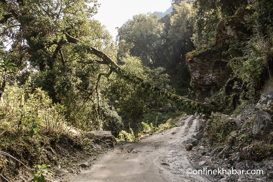 File: A road section between Dharapani and Chame in Manang