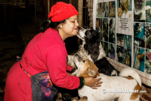 Shree’s Animal Rescue: How a woman gave up everything to take care of abandoned dogs