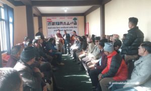 Nepali Congress statute amendment: District chiefs against naming loser ‘senior leader’