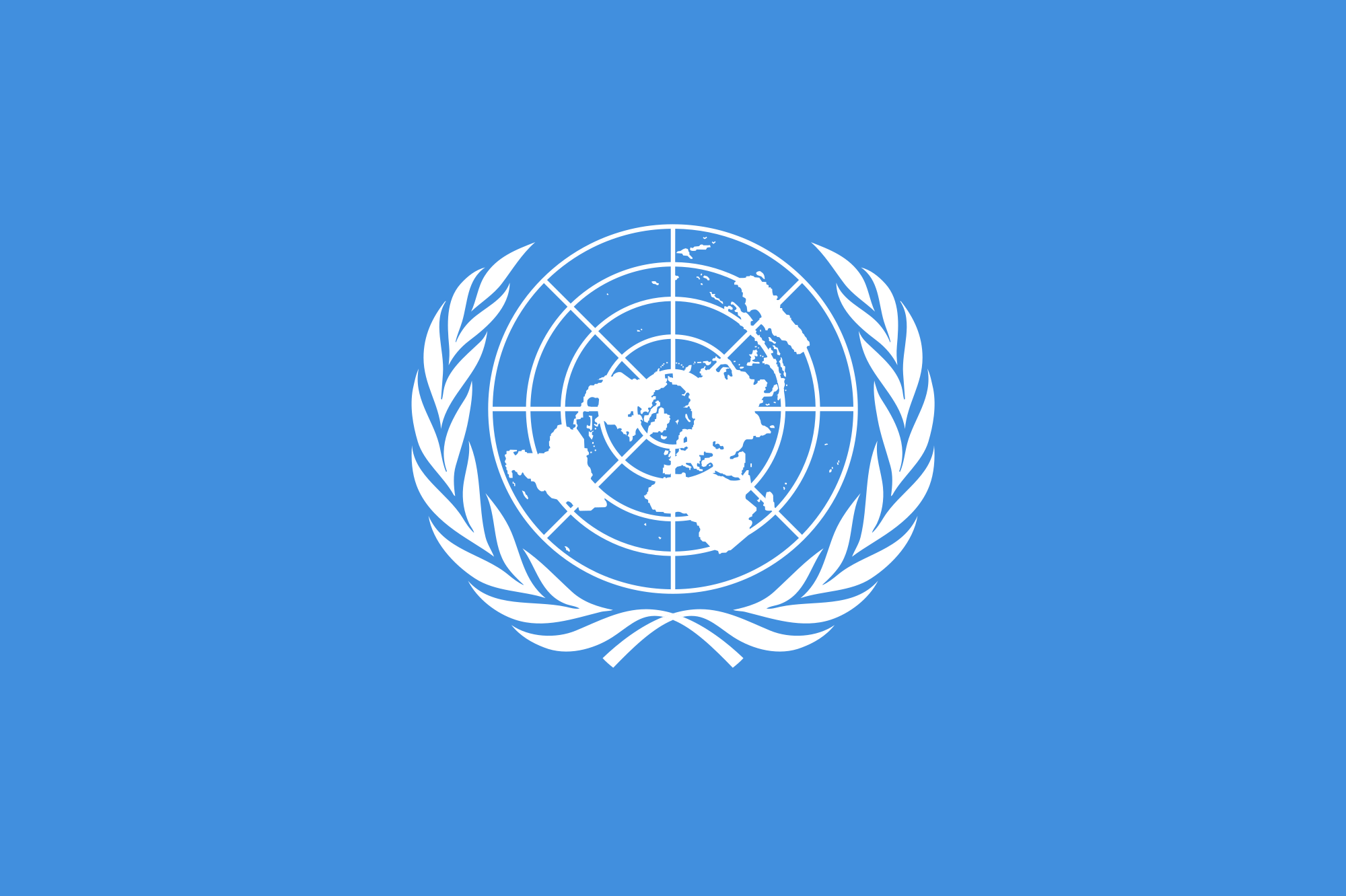 The United Nations (UN)