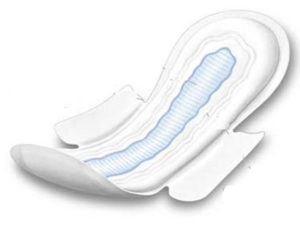 Gandaki govt to provide sanitary pads to girls attending SEE