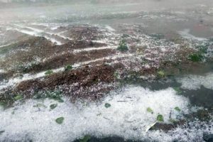 Nine days after disastrous ‘tornado’, fresh rainstorm hits Bara